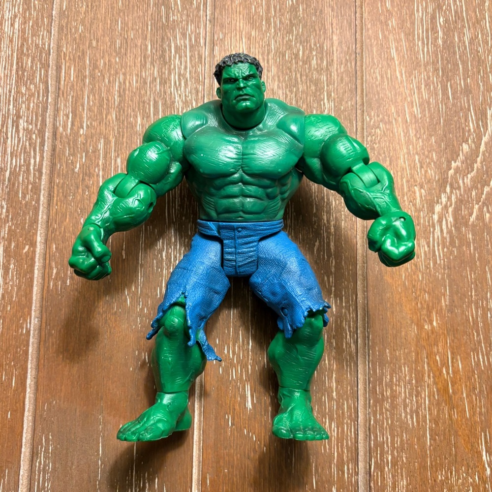 The Hulk Movie 2003 Hulk Action Figure